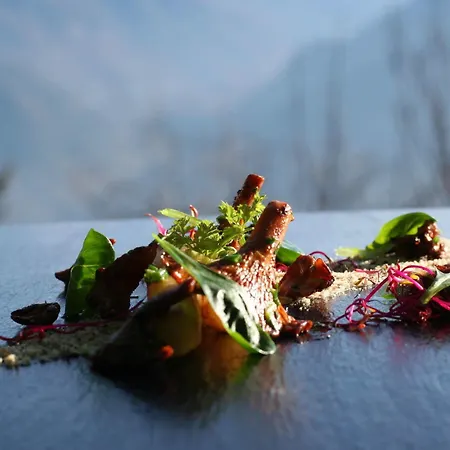Hotel-restaurant Le Mont Paisible, Hotel 3*