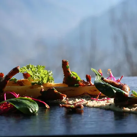 Hotel Hotel-restaurant Le Mont Paisible,