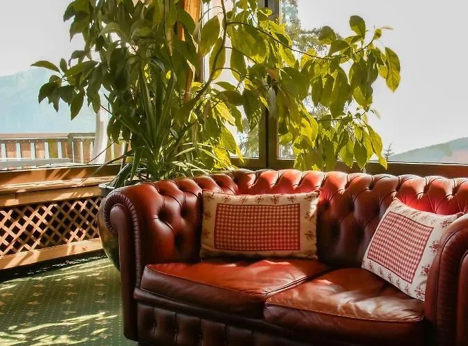 Hotel-restaurant Le Mont Paisible, Hotell Crans-Montana